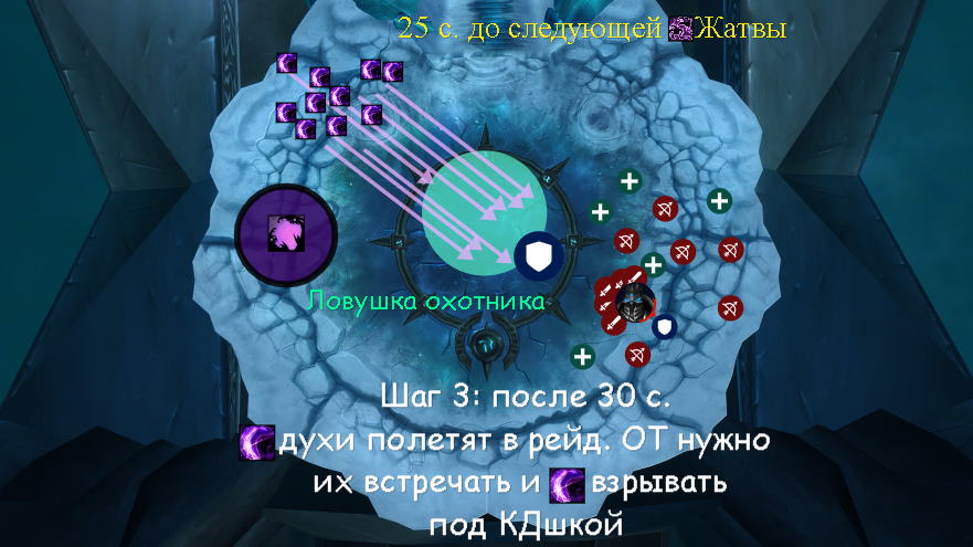 phase2_plan3