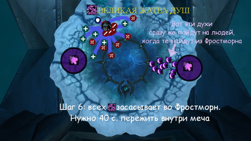 phase2_plan6